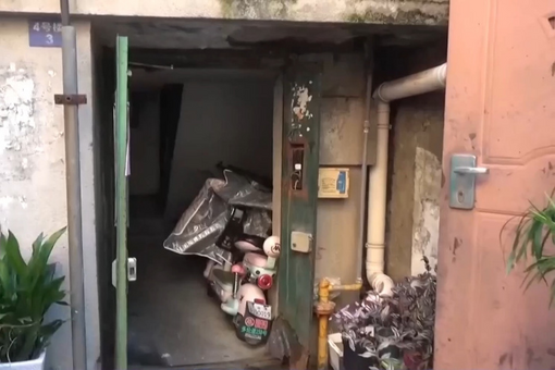 辽南深山结“红袍”  一颗李子走俏全国