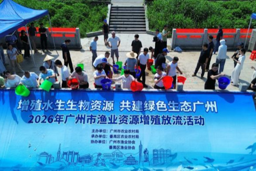 两岸特教人才共探AI助残新路径