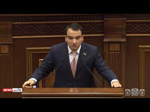 Որն է պատմական և իրական Հայաստանը ըստ Նարեկ Կարապետյանի