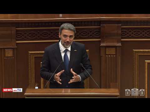 Թող ներեն ինձ բոլոր զինծառայողները. Վարդեւանյանը խոսեց ԲՀԿ–ի ձայների մասին