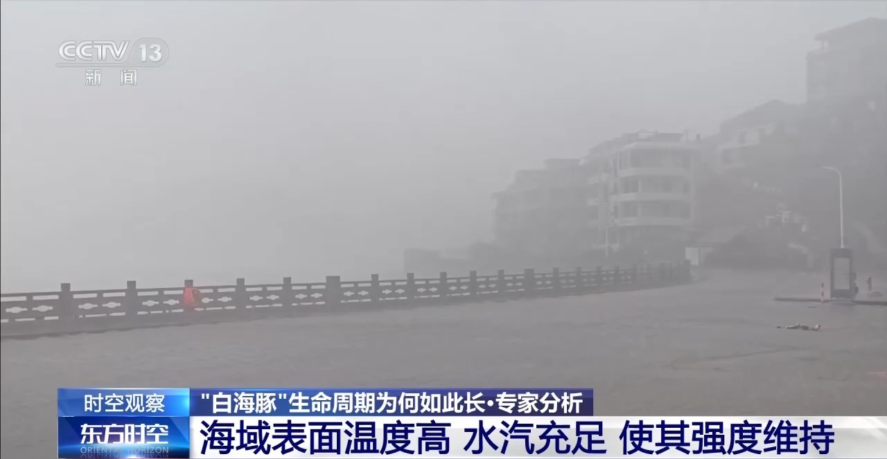 “生命力”超强的“白海豚”余威不减 如何防范？