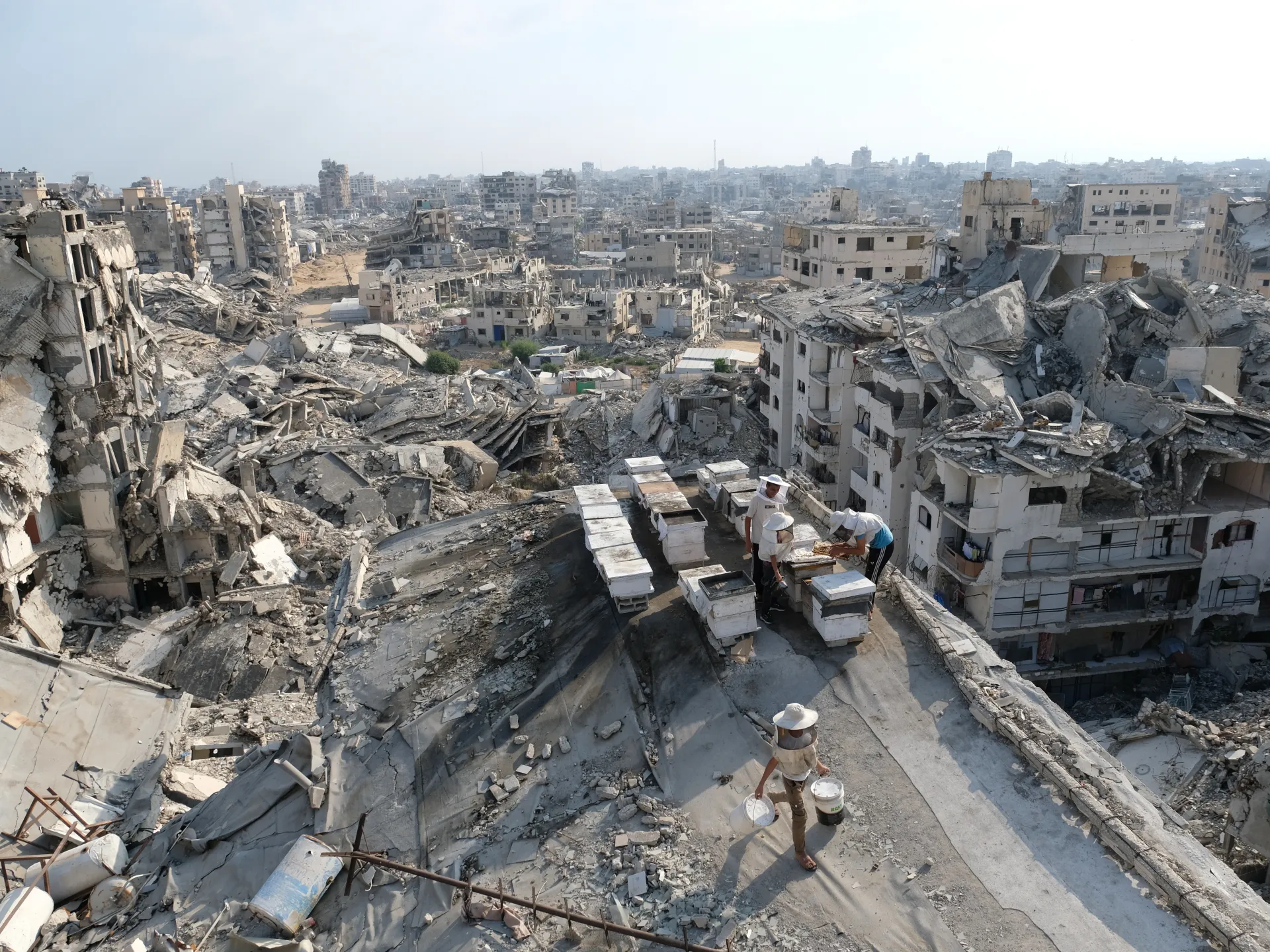 Palestine weekly: Netanyahu hedges on Gaza roadmap