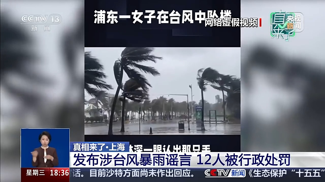 AI生成视频拼接虚假场景 这些涉台风信息都是谣言！