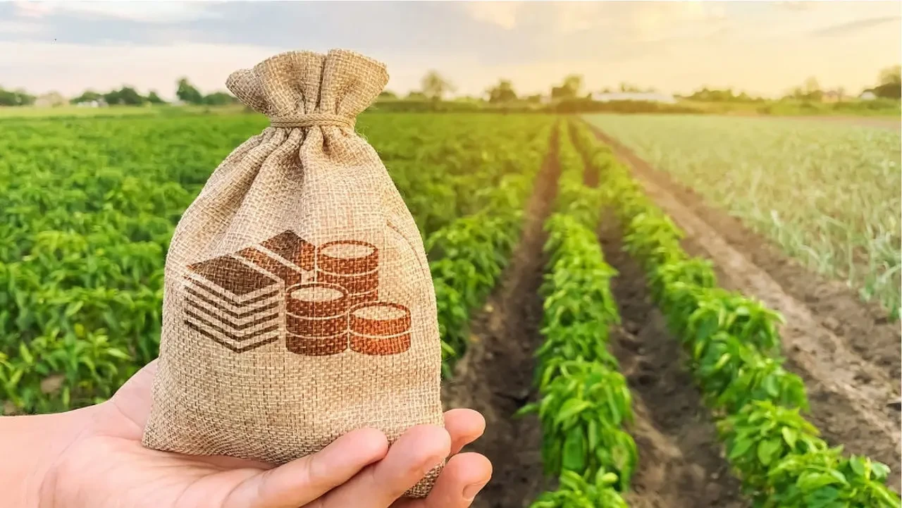 Հայաստանում ընդլայնել են ֆերմերների աջակցության ծրագիրը