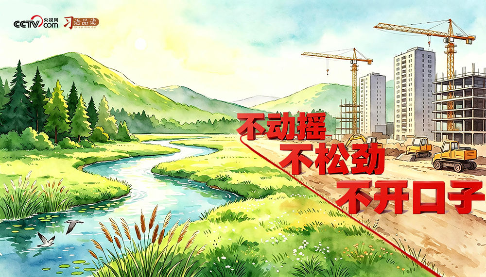 和谐共生｜不动摇、不松劲、不开口子