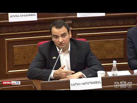 Միլիարդավոր դոլարներ են գալիս Հայաստան, բայց պետական պարտքը ավելանում է.Նարեկ Կարապետյանը՝ Թունյանին