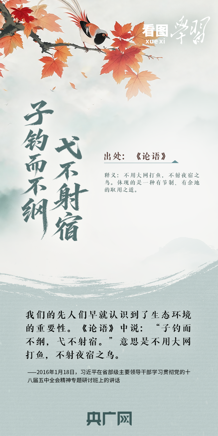 看图学习·和谐共生丨总书记用这些古语阐释自然之道