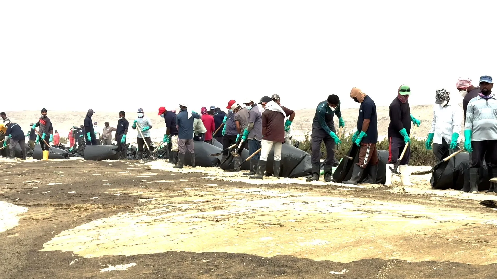 Cleanup underway as Russian oil spill reaches Oman’s coastline
