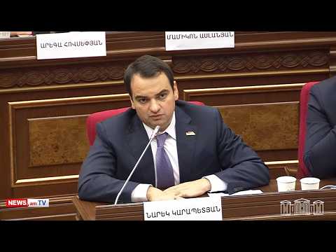 Մեր կրթական համակարգը մեծ խնդիր ունի. այն կապ չունի տնտեսության հետ. Նարեկ Կարապետյան