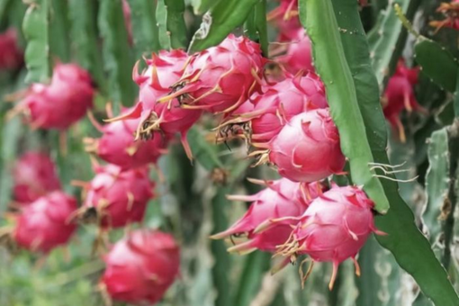 从“演示工具”迈向“实用生产力” 解锁机器人工业场景新技能