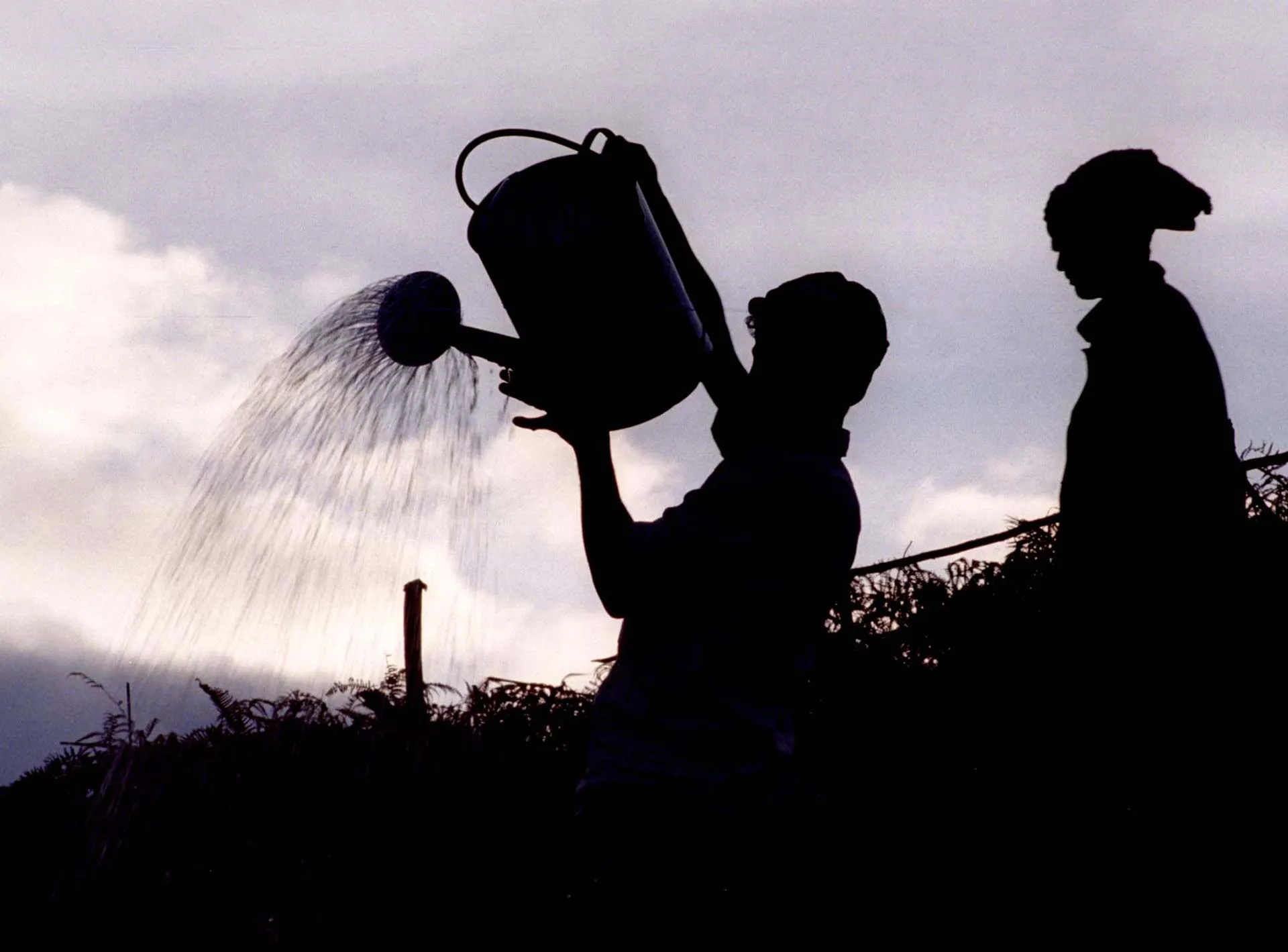 Governments brace for historic El Nino impacts on global weather extremes