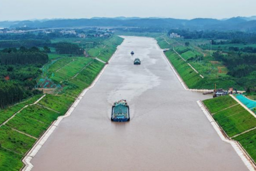 海外年轻人爱上“中国茶”