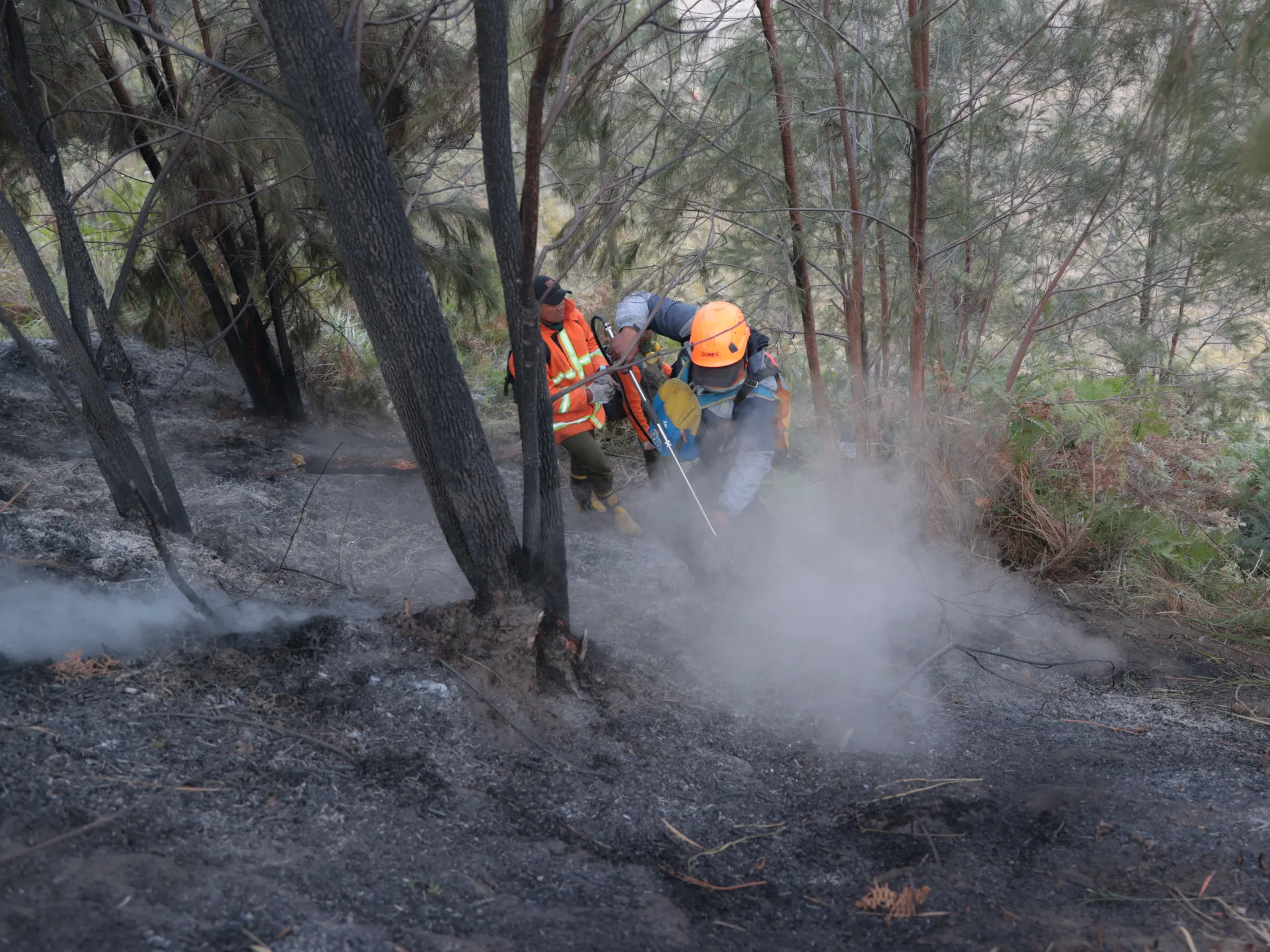 Indonesia bolsters troop numbers to combat Borneo wildfires