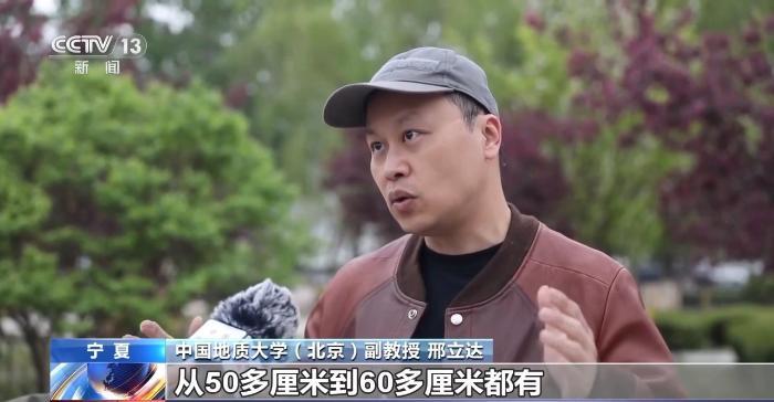 241枚距今约1.1亿年前恐龙足迹 为何在宁夏六盘山岩壁上