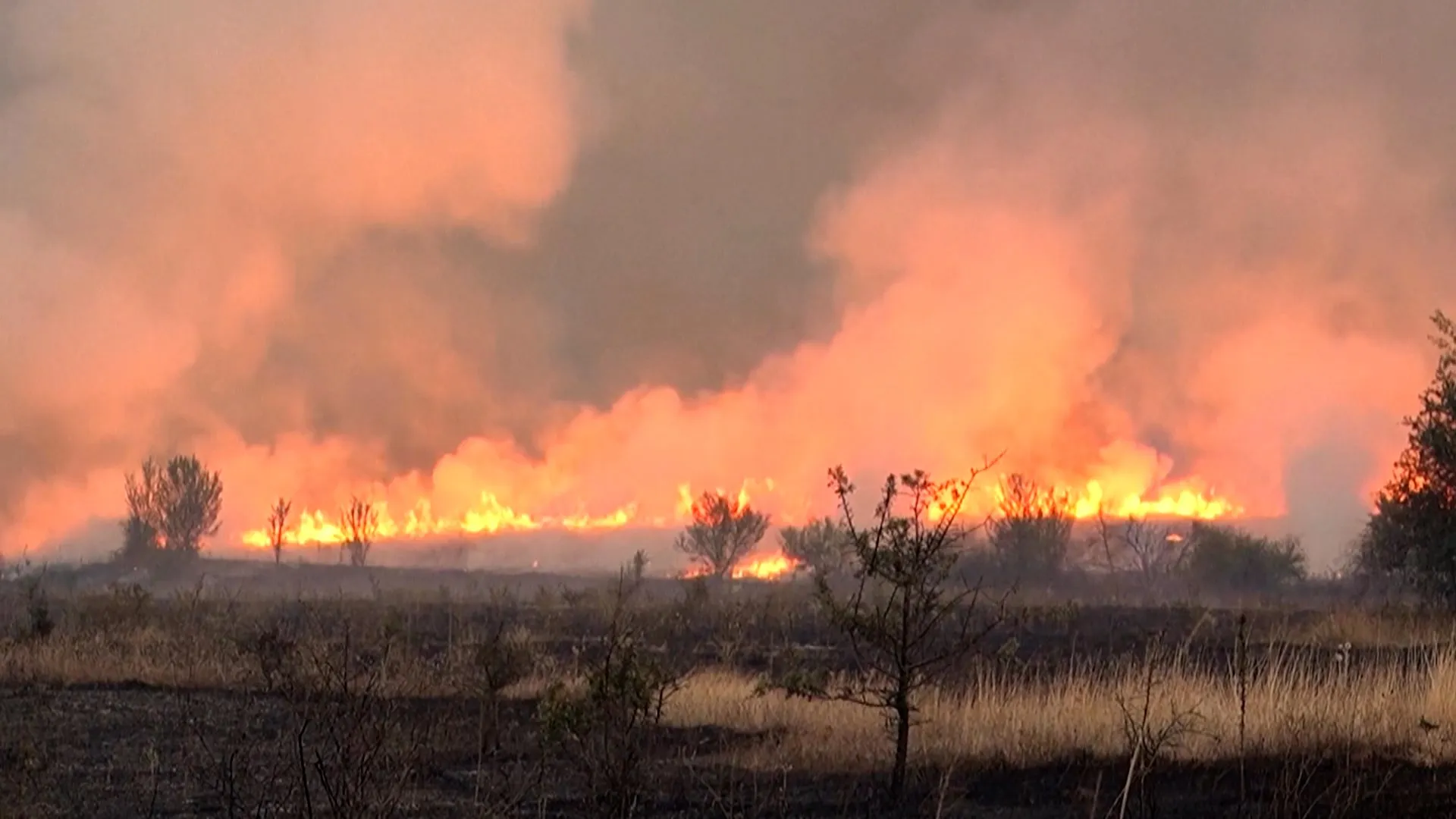 Serbia requests international assistance to battle wildfires