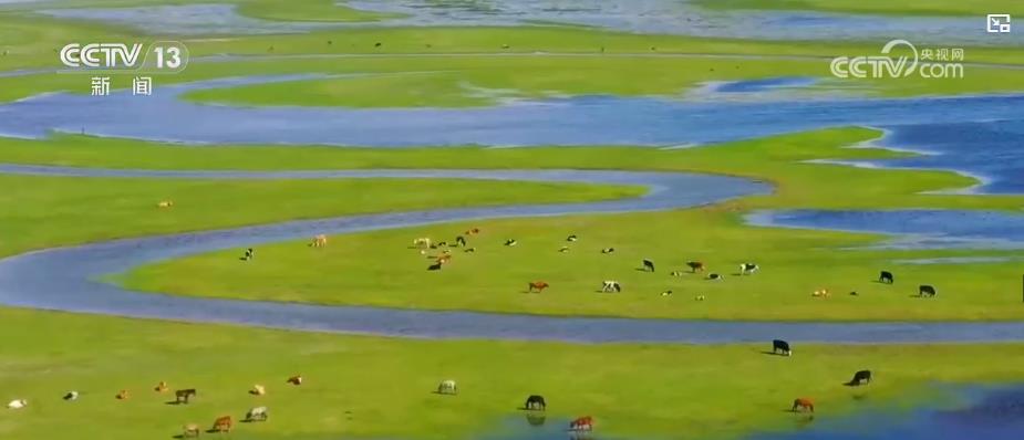 筑牢向北开放桥头堡 广袤草原绘就兴业兴边新图景