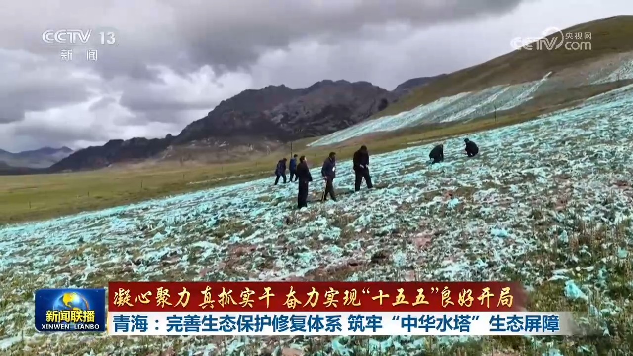 青海：完善生态保护修复体系 筑牢“中华水塔”生态屏障