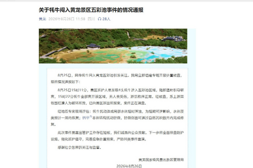 十年重访重庆涪陵大木镇 “高山花乡”驶入“503地心漫游环线”