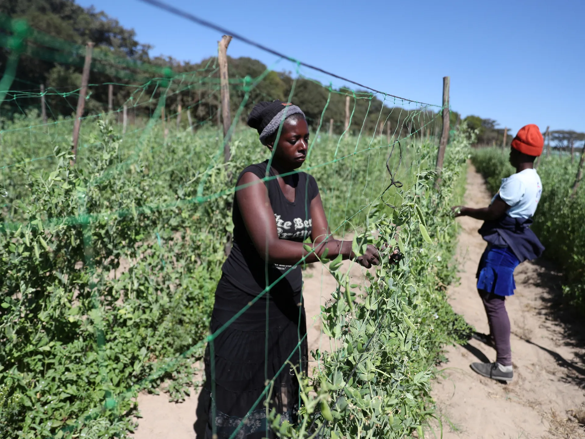 The West only discovers property rights when the landowners are white