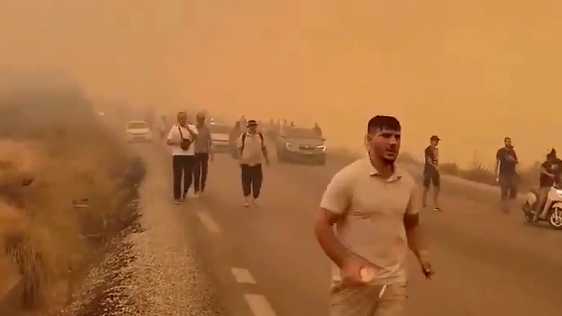 Twelve dead as over 150 wildfires rage across northeastern Algeria