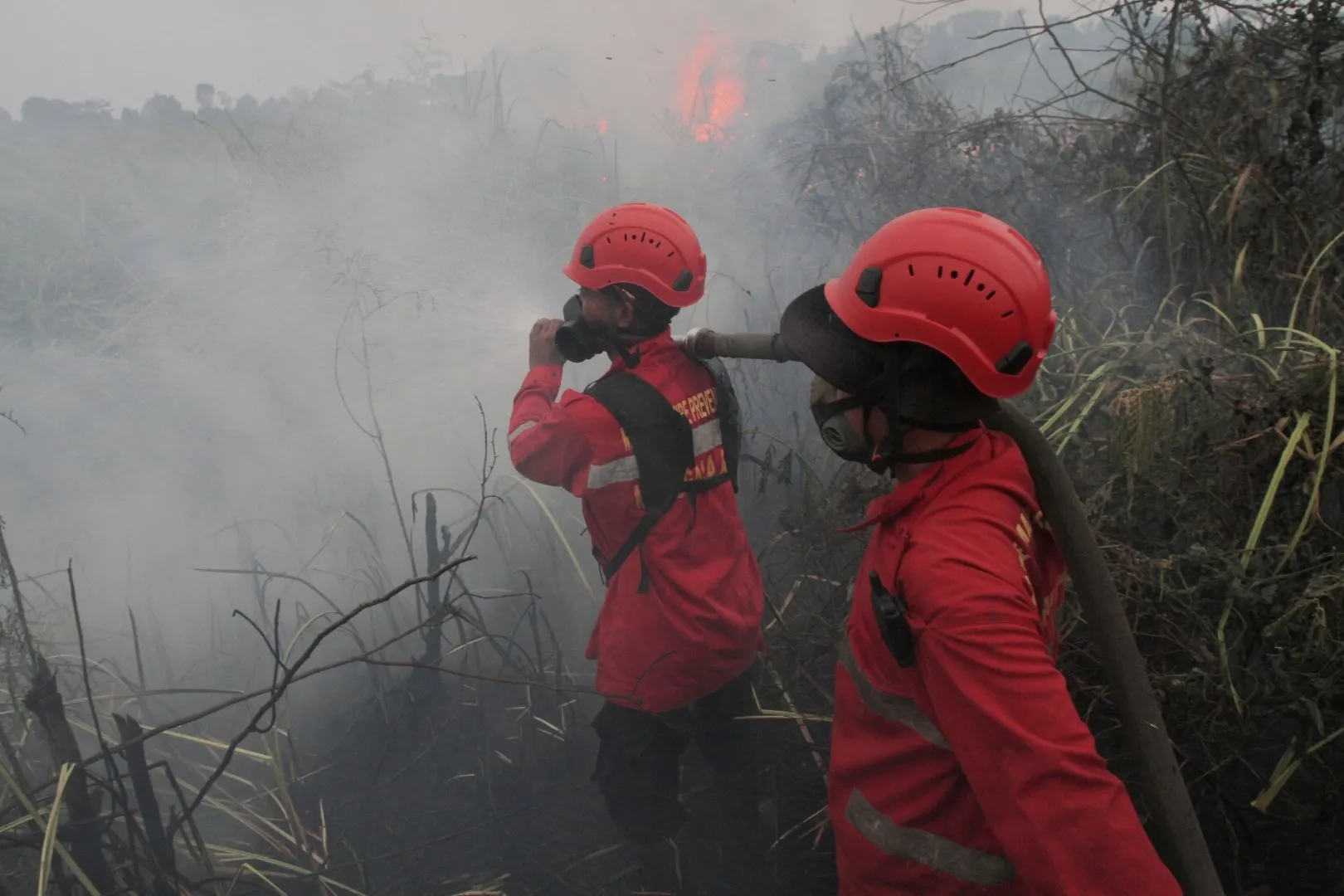Wildfires on Indonesia’s Borneo island turn the air toxic