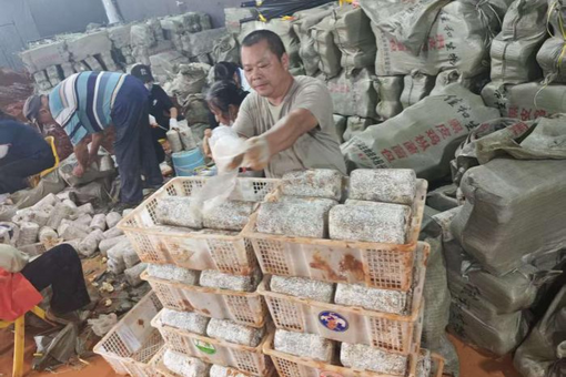 2025年中国有机产品总销售额同比增22%