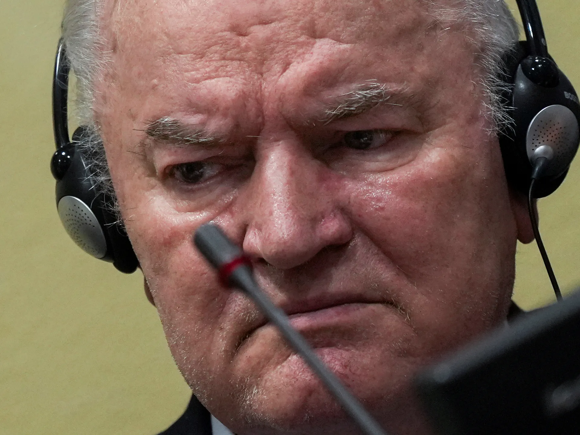 Obituary: Ratko Mladic, war criminal convicted of Srebrenica genocide, dies