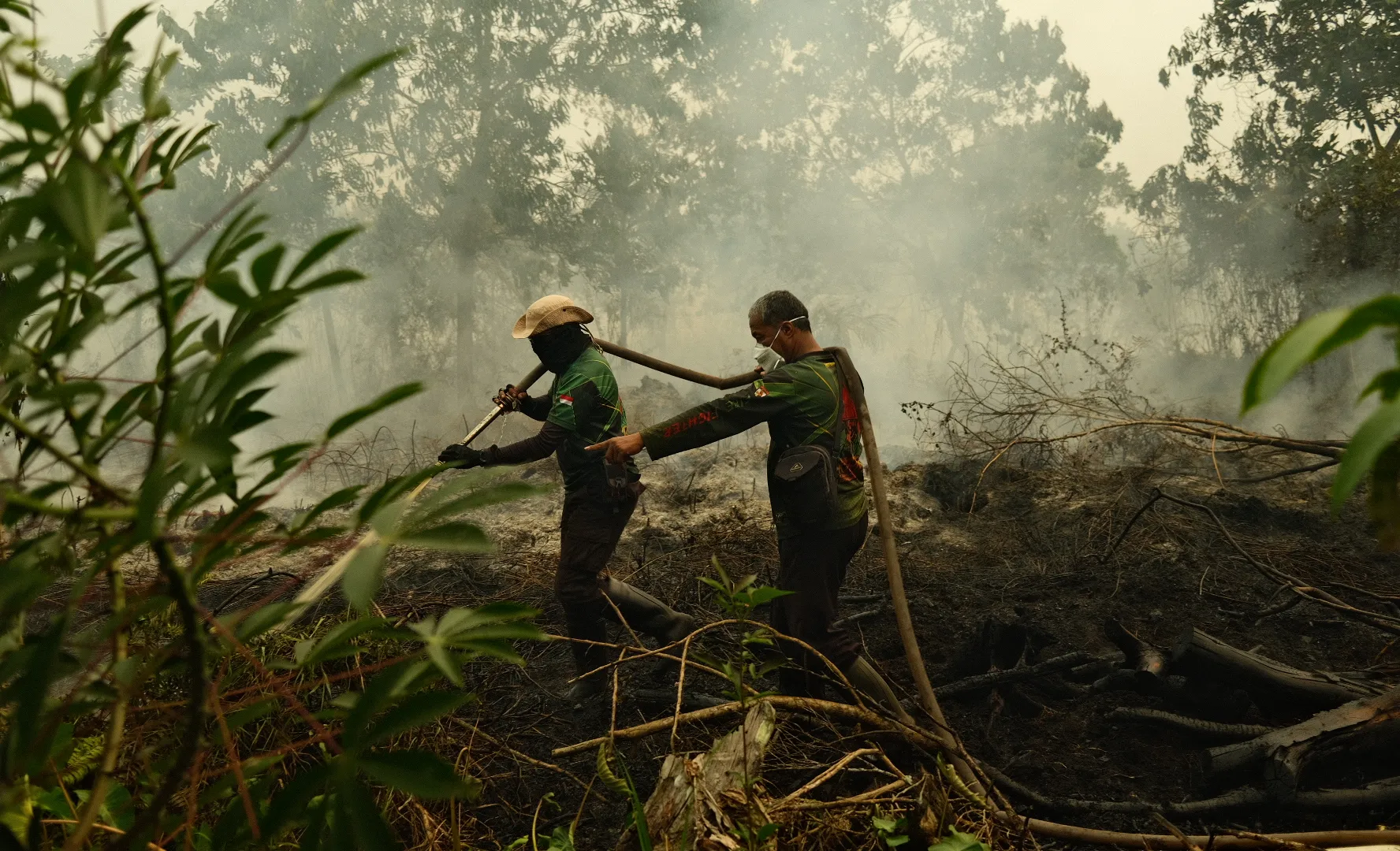 ‘Everything is covered in ash’: Indonesia wildfires leave people in crisis
