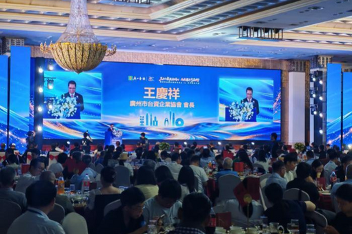 习近平主席以尼罗河比喻中埃友谊