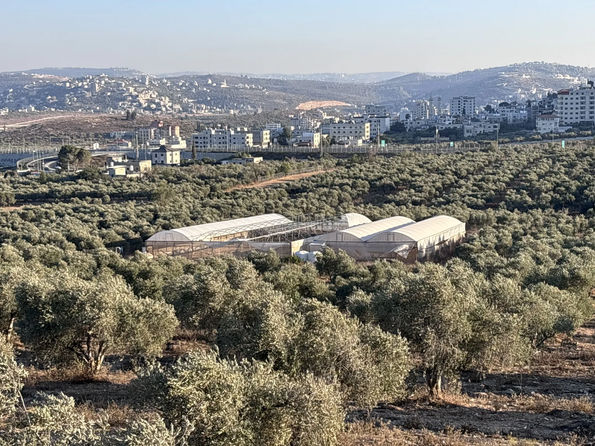 Palestinian farmers rebuild what Israeli settlers destroy in West Bank
