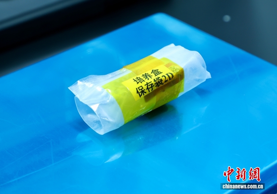 中国空间站第十批科学实验样品顺利返回 人工胚胎等交付科学家