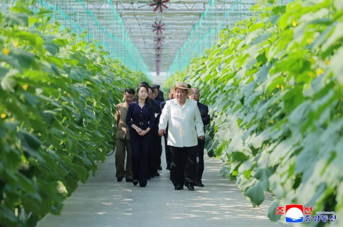 金正恩携女儿视察温室农场（图）