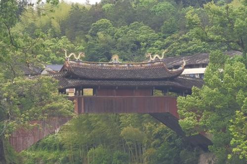 山西阳泉发现约2.95亿年前木化石