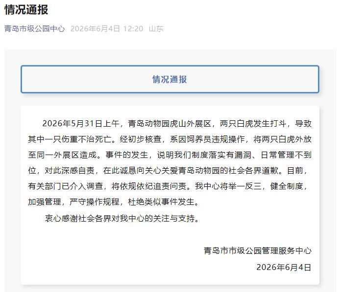 青岛动物园两只白虎打斗致一死 经查系饲养员违规操作造成