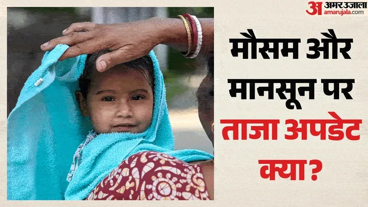 Monsoon Updates: केरल में झमाझम बारिश, तीन जिलों में ऑरेंज अलर्ट; हवा की गति और मानसून पर IMD से क्या अपडेट?