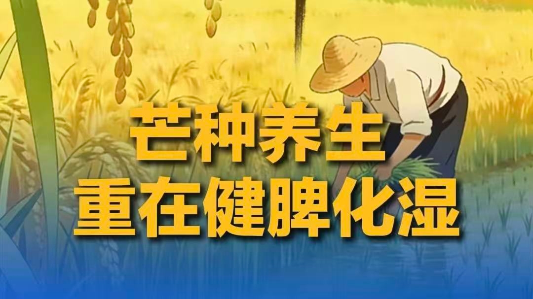 高考将至 中外大学生寄语考生：前路漫漫亦灿灿！