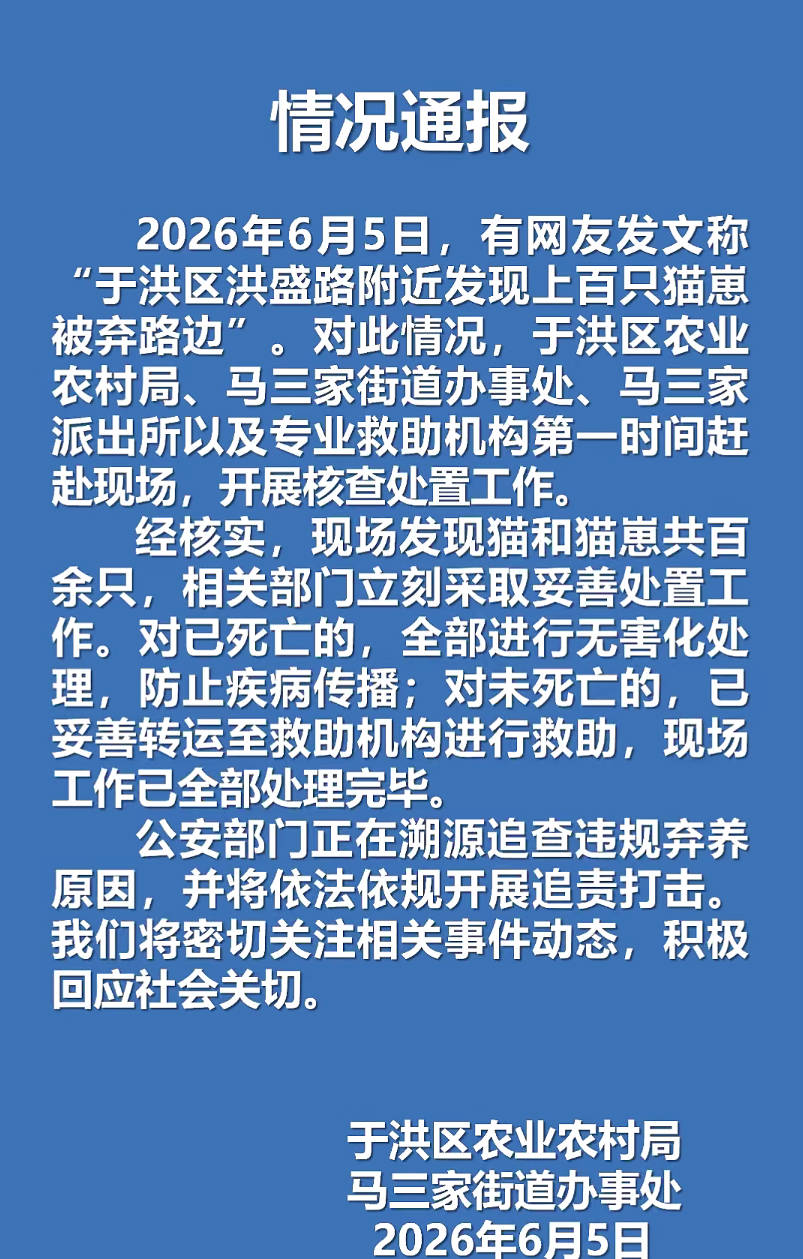 沈阳于洪通报“上百只猫崽被弃路边”：正在溯源追查弃养原因