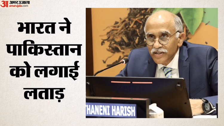 UNSC: यूएन में पाकिस्तान ने फिर अलापा कश्मीर का राग; भारत ने लगाई कड़ी फटकार, बोला- ये झूठ फैलाने का मंच नहीं