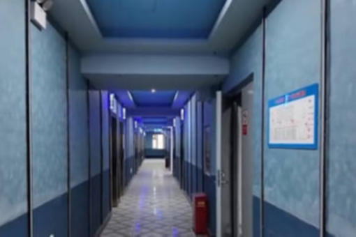 （乡村行·看振兴）福建福鼎：品牌兴茶 “和美金谷”铺就富民路