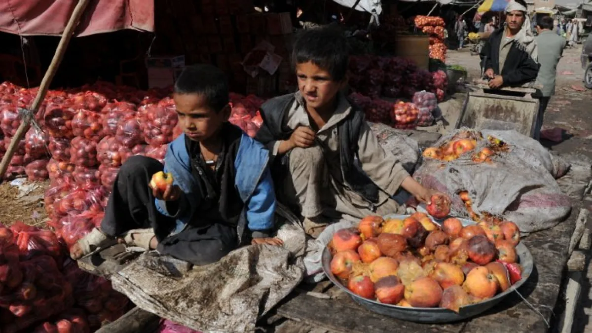 What Afghanistan’s rotten apples tell us about its non-profit sector