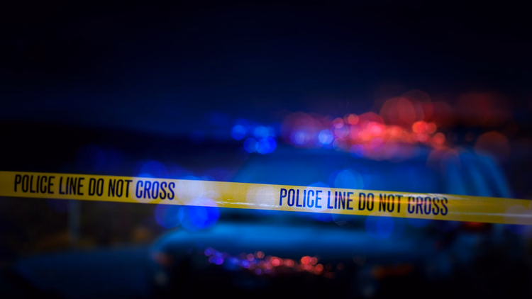 Toledo Shooting: अमेरिका के टोलेडो फेस्टिवल में गोलीबारी से हड़कंप, कई घायल; पुलिस ने आरोपियों की तलाश तेज की