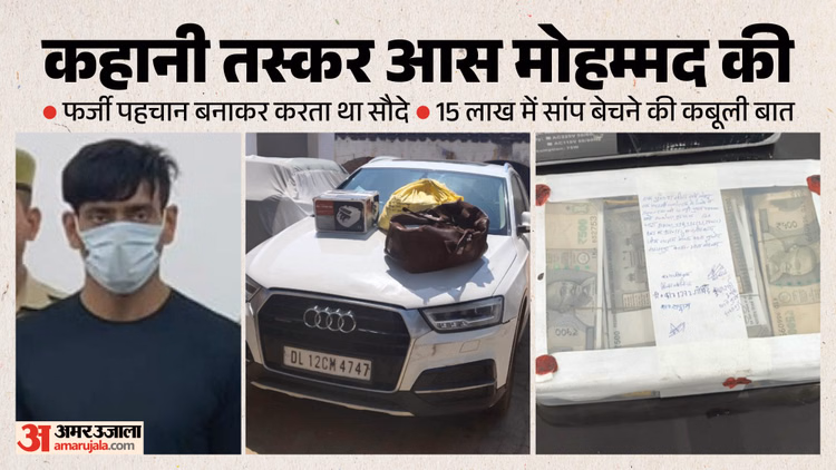 UP: दो मुंह वाला सांप, कीमत 15 लाख, ऑडी कार से चलता और मशीन से गिनता नोट; चौंका देगी तस्कर आस मोहम्मद की कहानी