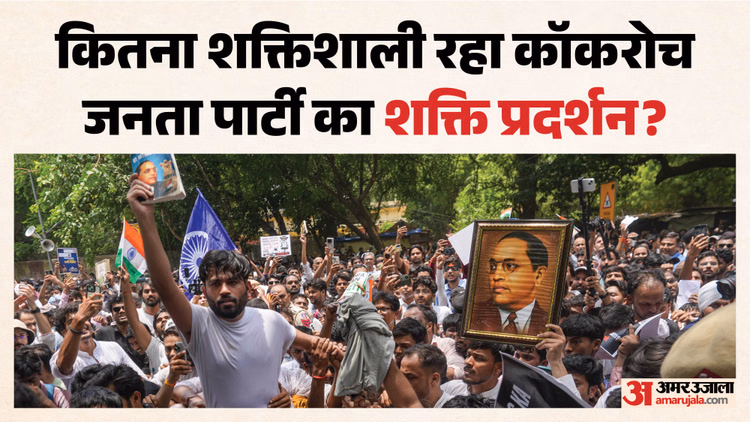 फ्लॉप या हिट: कैसा रहा कॉकरोच जनता पार्टी का प्रदर्शन? अब अभिजीत दीपके ने बताया जंतर-मंतर पर कितना समर्थन मिला