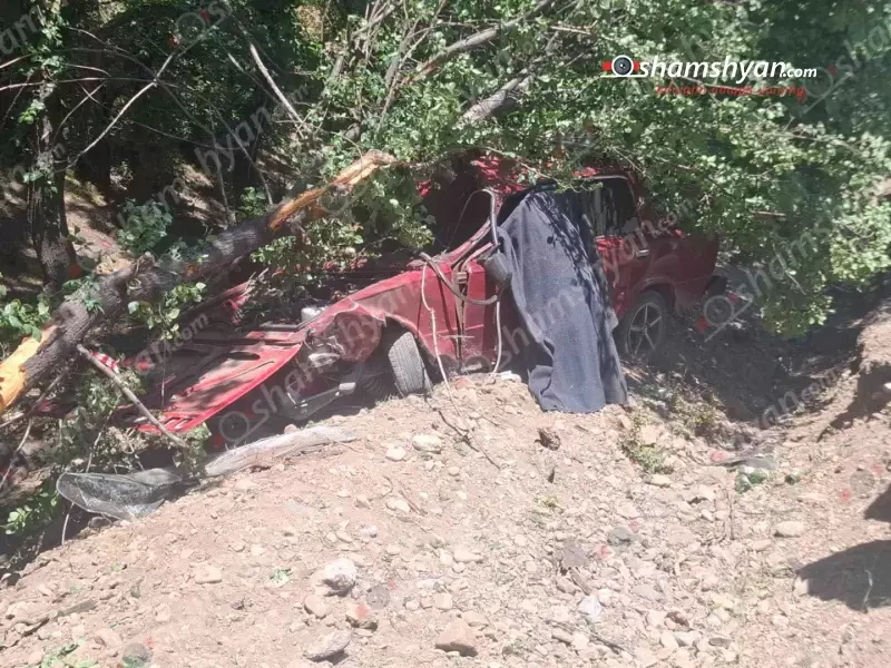 Վայոց ձորում «ՎԱԶ 2101»-ը բախվել ծառերին. որդին՝ տեղում է մահացել, հայրը՝ հիվանդանոցում