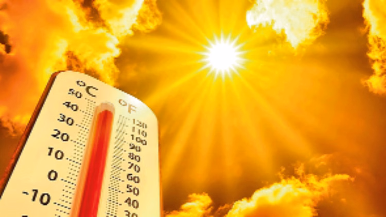 Climate: चार दशक में चार गुना क्षेत्रों तक बढ़ा उमस भरी गर्मी का दायरा, अध्ययन में बड़ा दावा