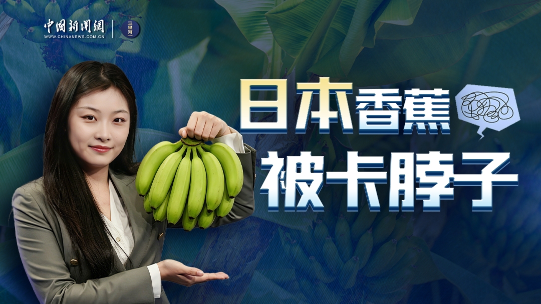 天津鲁班工坊见闻：科摩罗代表希望“把经验带回去，让年轻人有活干”