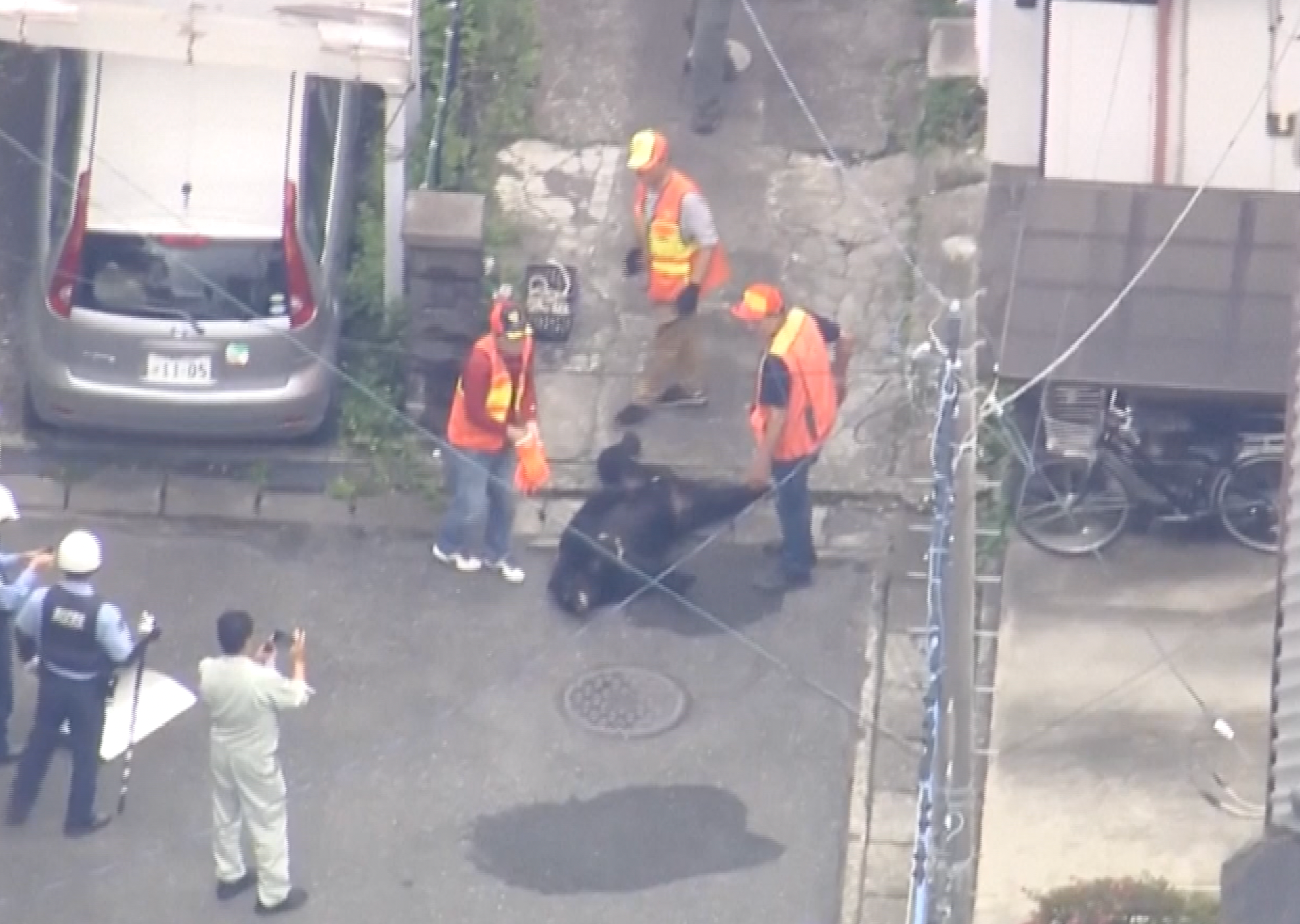 Bear captured after days of panic and school closures in Japan