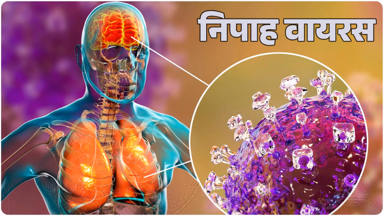 Nipah Virus: भारत में भी दिखने लगा निपाह वायरस का खतरा, केरल में मिला एक मरीज; राज्य में हाई अलर्ट जारी