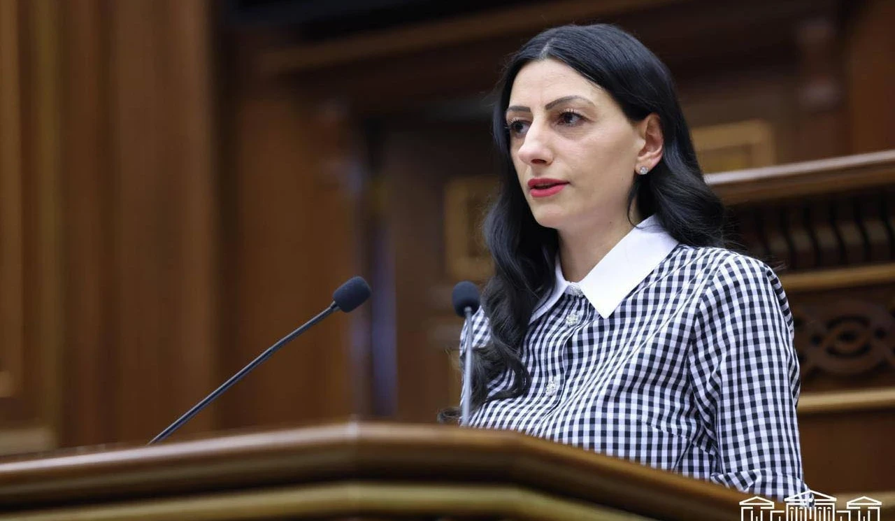 Թյուր պատկերացումներ կան ընտրությունների ընթացքում ՄԻՊ լիազորությունների առնչությամբ. Մանասյան (վիդեո)