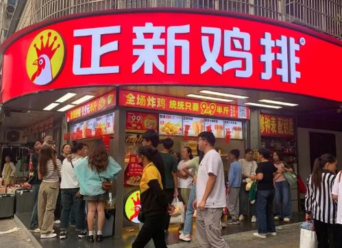 投喂流浪动物？先看这份安全指南